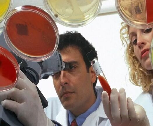 A helminthiasis diagnosztizálása