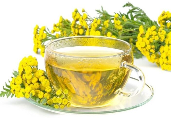 Tansy főzet paraziták a szervezetben